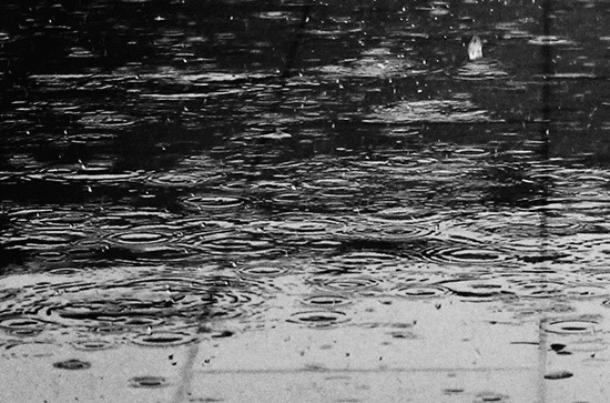 今福建高考最后一天莆田或大暴雨 雷雨活跃将对考试有不利影响