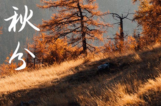 2024年秋分是星期几 2024年9月22日是秋分