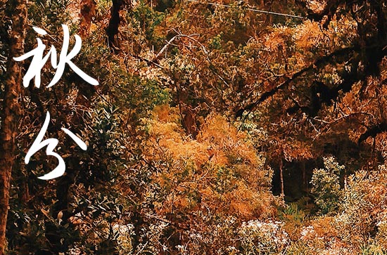 秋分客户祝福短信(通用40句) 秋分客户祝福短信(通用40句)