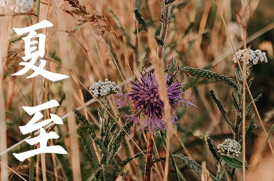 2024夏至节气时间 具体是几月几号几点几分 