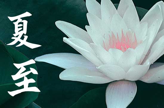 2023年夏至入伏是哪一天