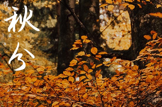 秋分2024年是几月几日星期几 2024年9月22日秋分这天适合剖腹产吗