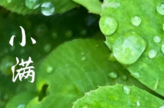 2023年哪天是小满