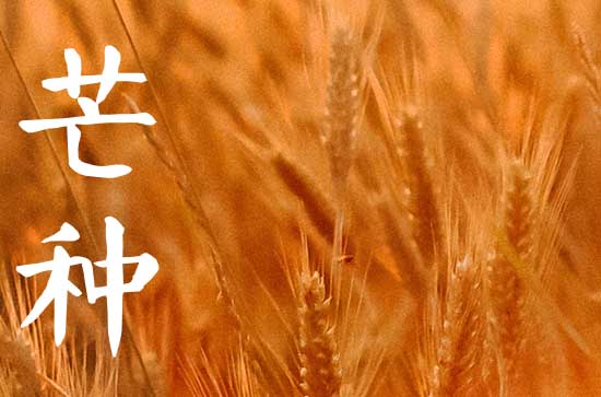 芒种的寓意和象征 芒种寓意是什么意思 