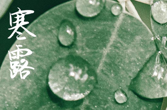 2024年寒露属于什么季节 寒露会很冷吗