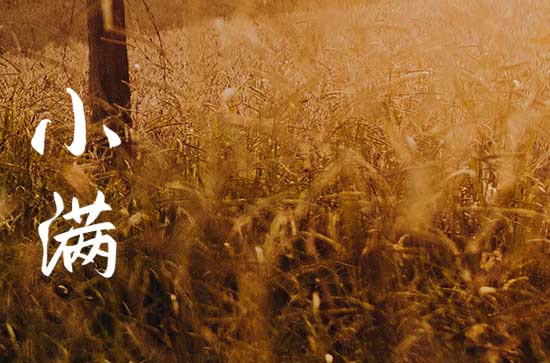 2024年小满下一个节气是什么