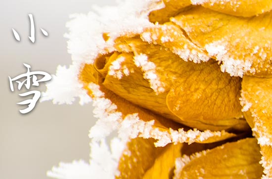 小雪时节雪还小 小雪的气候特征
