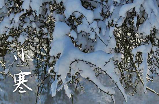 2025年小寒节气的含义是什么 2025年小寒节气的含义是什么