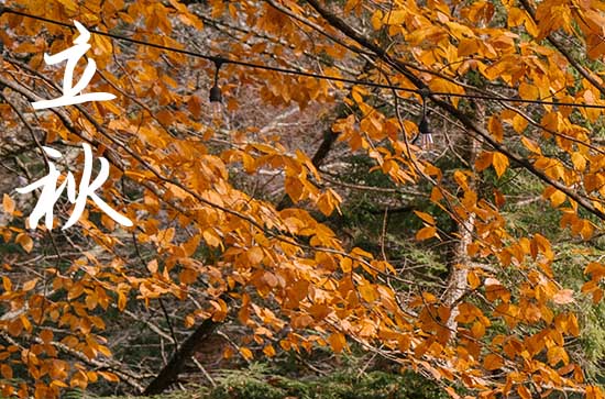 立秋当天下雨好还是不下雨好 立秋过了天气会凉快吗