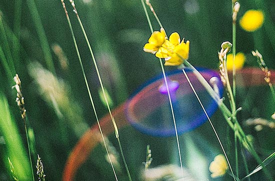 三伏天气候有什么特点 三伏天谚语有哪些