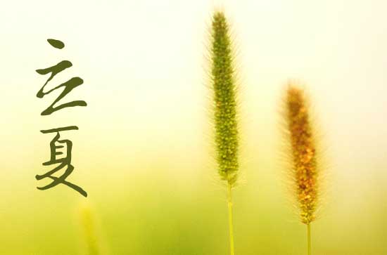 立夏是2024的几月几日 2024年立夏请佛可以吗
