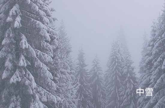 辽宁12月13日大范围降雪又来袭 沈阳未来三天天气预报
