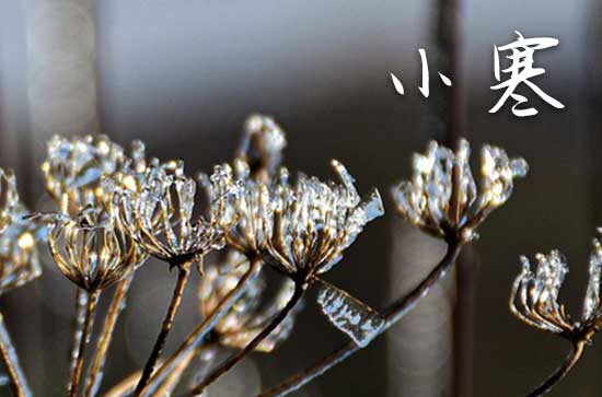 2025年小寒大寒是什么意思 小寒大寒具体特点 2025年小寒大寒是什么意思 小寒大寒具体特点