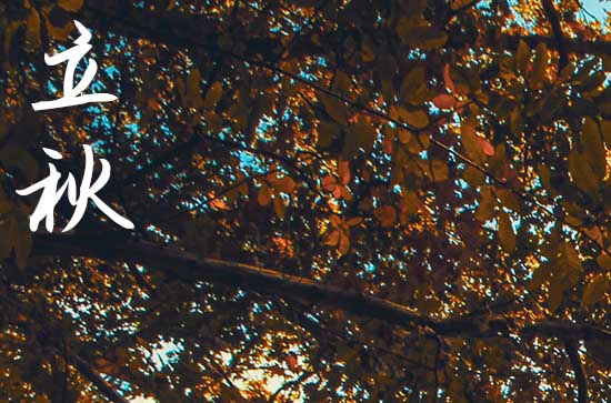 2024年是公立秋还是母立秋 如何区分