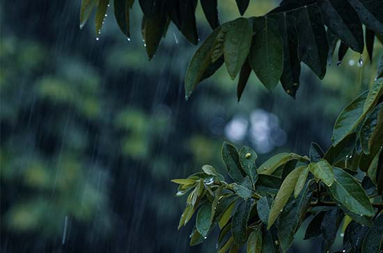 9月3日文山会下雨 今日小雨转阴温度29℃~20℃