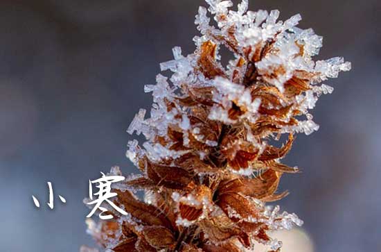 小寒快乐的祝福词汇总50句精选