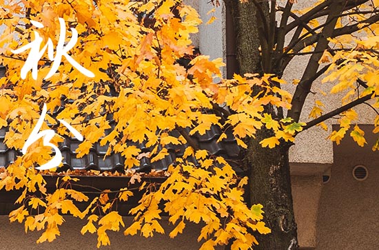 2024年秋分农历时间 2024年9月22日秋分制作房梁适合吗