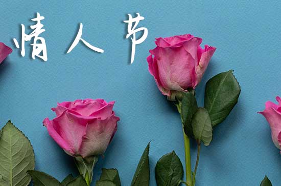 2024年网络情人节适合结婚登记吗 2024年网络情人节结婚登记好吗