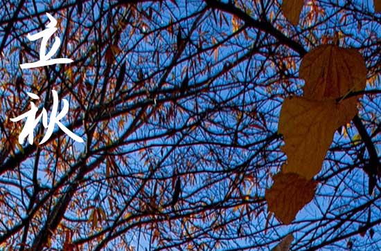 2024立秋是几月几日 具体哪一天