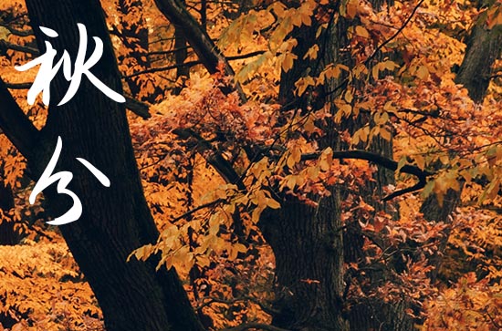 秋分养生看这理 秋分时节如何养生 秋分养生看这理 秋分时节如何养生