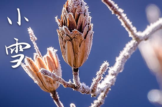 2023小雪节气过后天气是越来越冷吗 小雪节气有什么特点