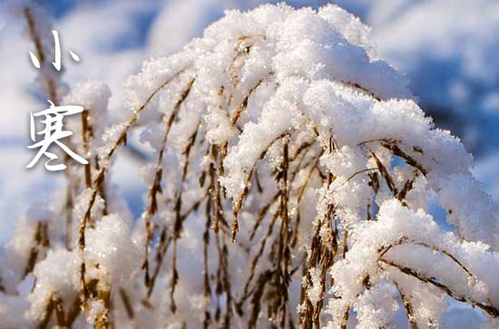 小寒大寒冻成一团是什么意思