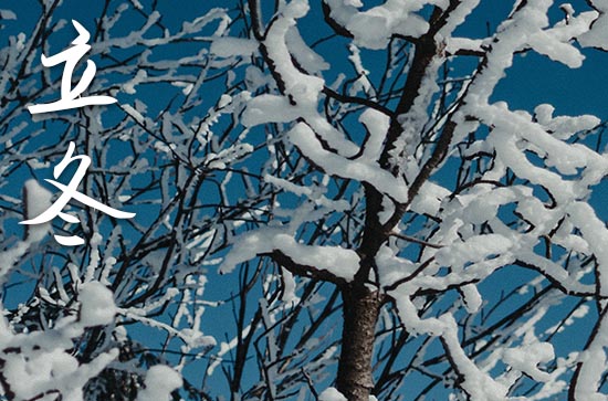 2023年立冬是几点几分几秒 2023年立冬开张吉祥吗 2023年立冬是几点几分几秒 2023年立冬开张吉祥吗