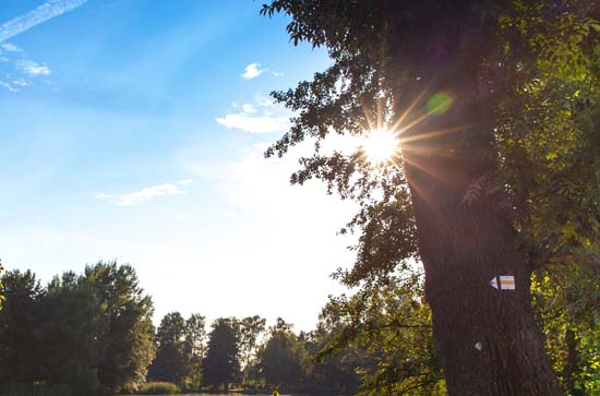 9月28日六安不会下雨 今日晴转多云温度29℃~20℃