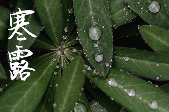 2024年的寒露是哪一天 寒露养生