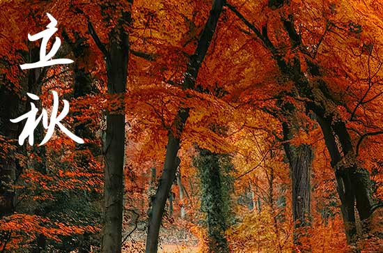 2024年立秋是几点几分 立秋节气详细时间表