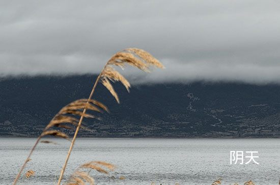 今天上海天气好不好 2024年7月19日今日黄历