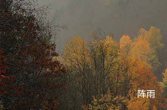 8月4日巴中会下雨 今日阵雨温度30℃~24℃