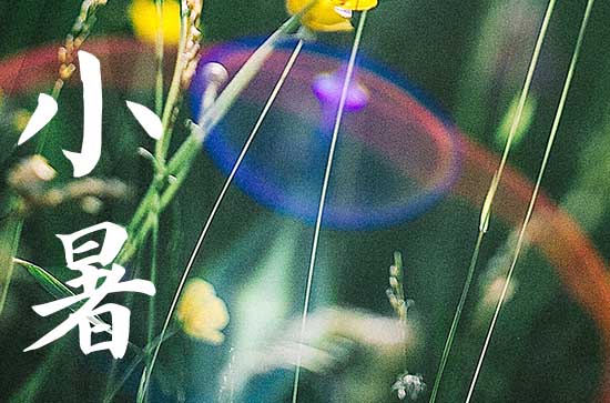 小暑过后的节气是什么 小暑节气的寓意和传统