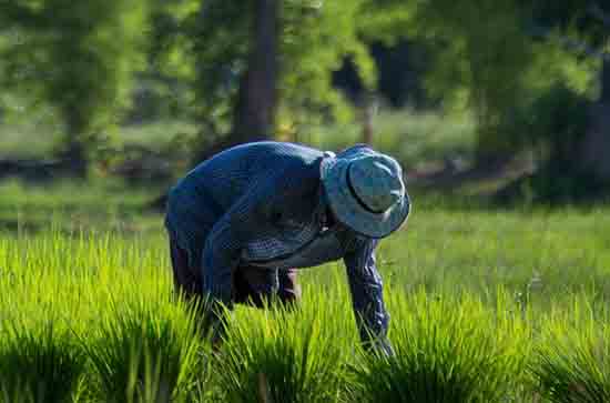 五一结束上班心情说说(摘录90句)