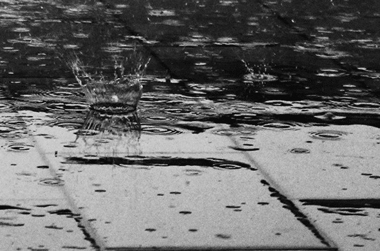                    广西东部南部24日雨势较强局地有暴雨到大暴雨 需防范地质灾害                    