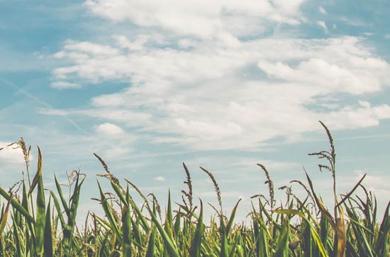广安7月4日天气预报:高温34℃~低温24℃，多云转阴，不会下雨