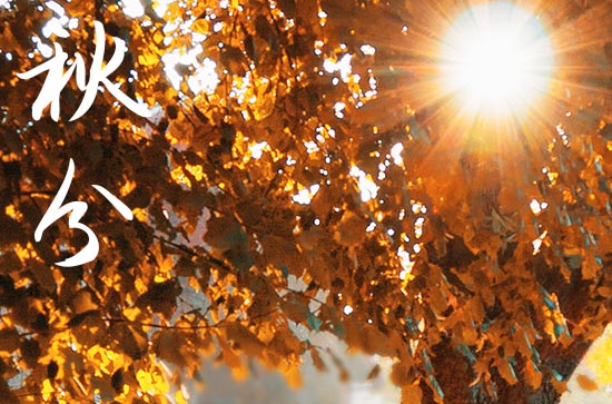 2024年秋分的祝福句子精选100句 2024年秋分的祝福句子精选100句