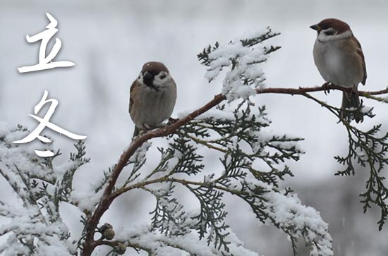 2023年立冬是几点几分几秒 2023年立冬可以开张吗 2023年立冬是几点几分几秒 2023年立冬可以开张吗