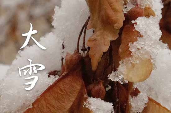 大雪瑞雪兆丰年 大雪隆冬大雪下