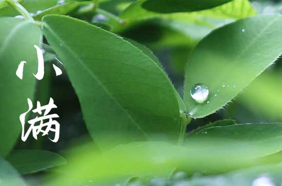 2023年小满时间是哪天