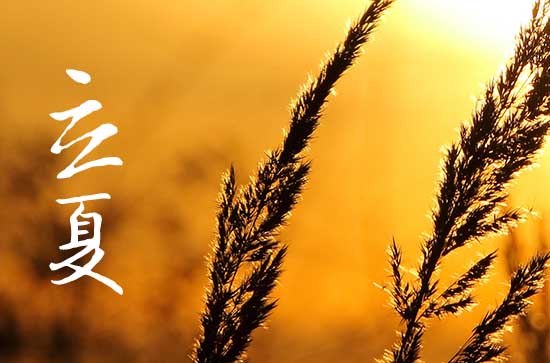 立夏是2024的几月几日 今天日子好不好 立夏是2024的几月几日 今天日子好不好