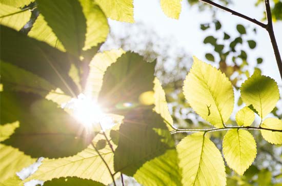 宝鸡今日天气如何 2024年10月26日农历是多少