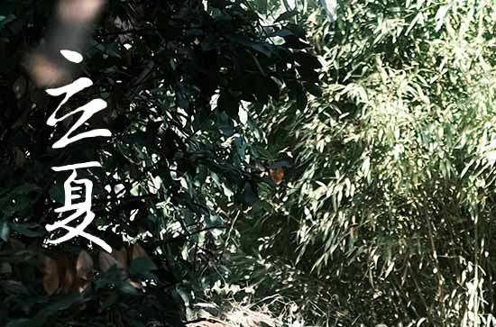 立夏和夏至是同一个节气吗  立夏和夏至有哪些不同