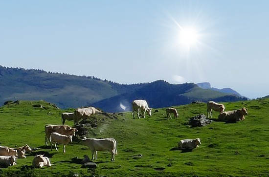 商丘今日天气晴 2024年10月23日商丘市天气预报