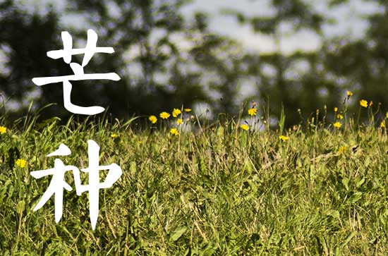 2023年芒种是哪一天