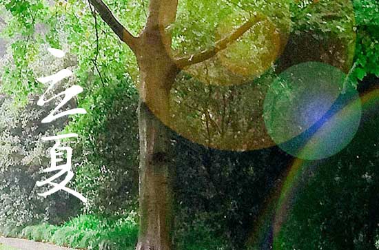 立夏的民俗活动有哪些