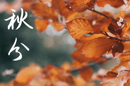 2024年温馨秋分祝福语（精选200句）