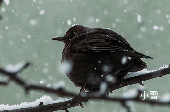 呼伦贝尔今日天气小雪转晴 2024年10月21日呼伦贝尔市天气预报