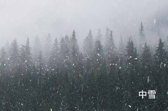 河北12月14日降雪持续明起降温明显局地超14℃ 张家口未来三天天气预报