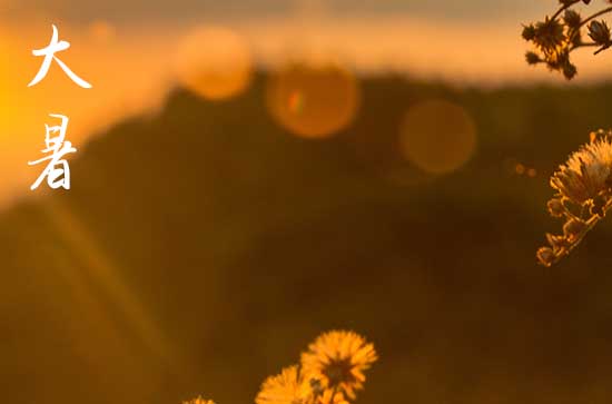 大暑是几月几号2025年几点 大暑是几月几号2025年几点